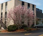 Brownsboro Road Shopping Center Photo